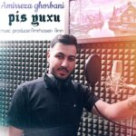 دانلود آهنگ امیر رضا قربانی پیس یوخو